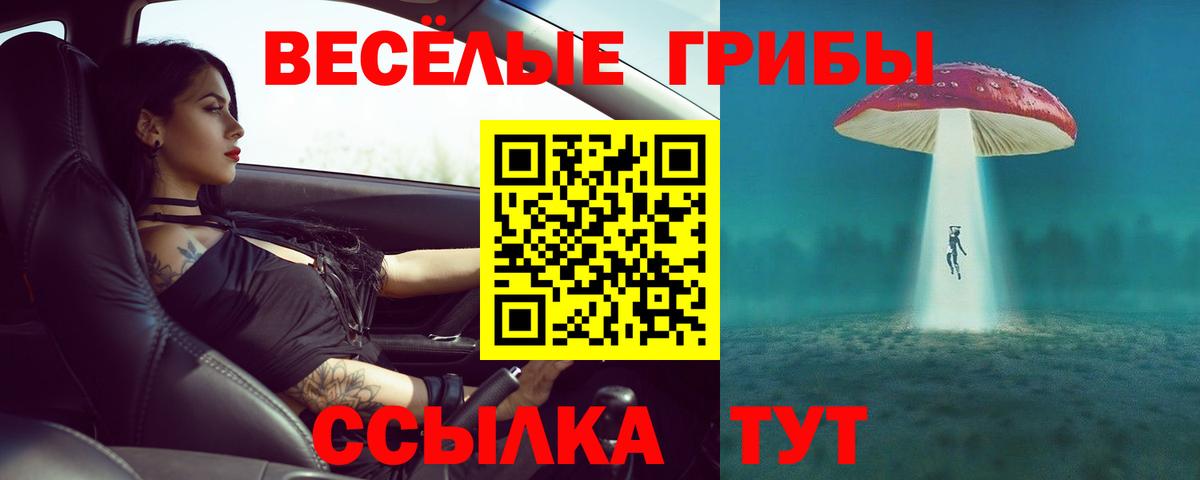 Семилуки  Галлюциногенные грибы MAGIC MUSHROOMS  Вход с VPN  Псилоцибиновые грибы Magic Shrooms 